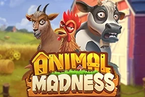 Animal Madness